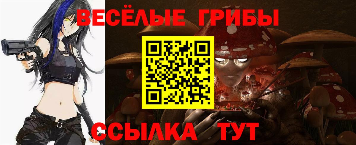 Галлюциногенные грибы Cubensis Щёлково